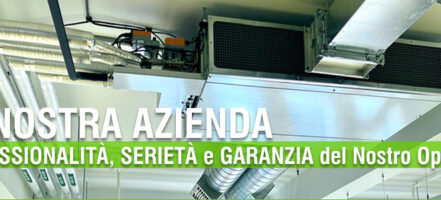 Azienda